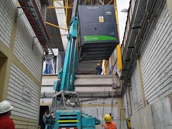 LM2