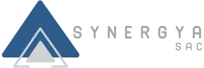 INICIO 7 SYNERGY5 1